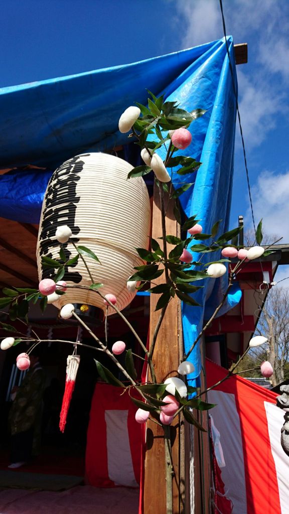 Narase mochi - a traditional decoration for Koshogatsu - the 15th day of the new year.